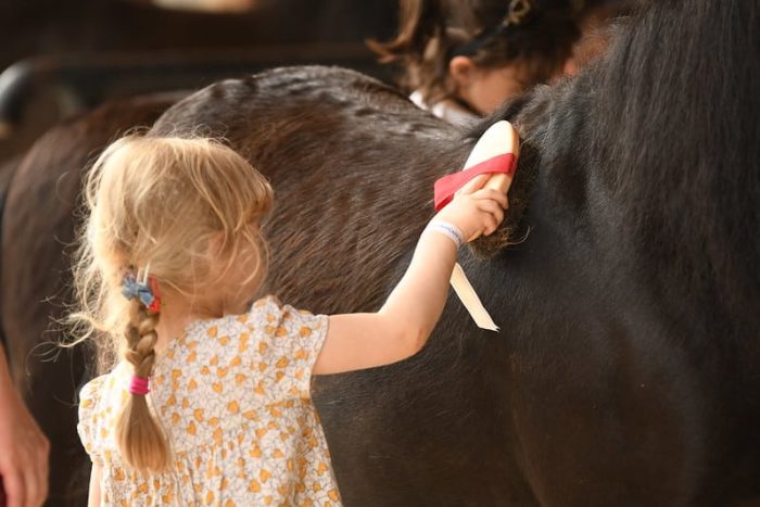 Poney découverte : les enfants brossent les poneys