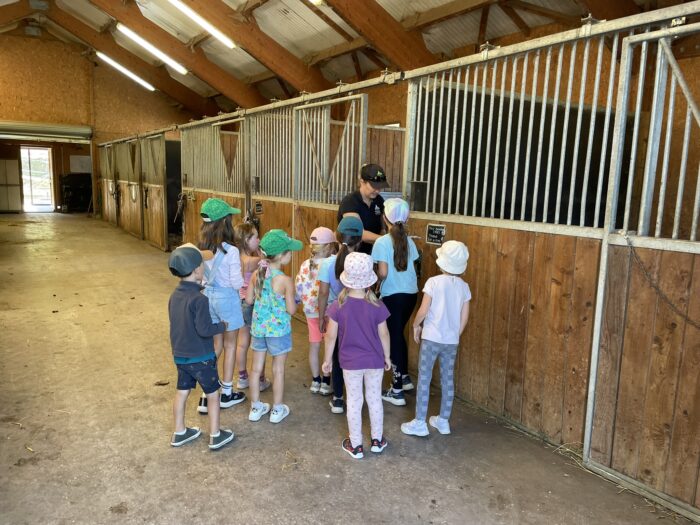 anniversaire pour les enfants au haras du vercors
