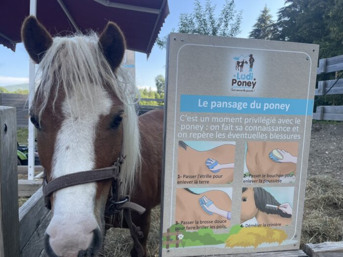 Poney découverte : le ludiponey est un concept inedit en france !