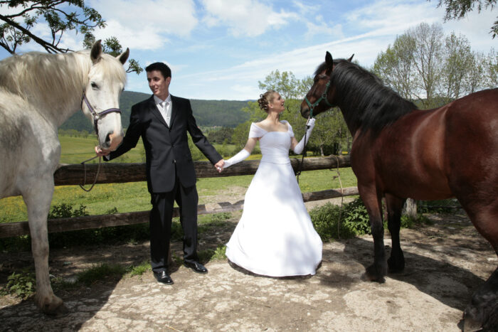 Mariage au Haras du Vercors dans un cadre naturel