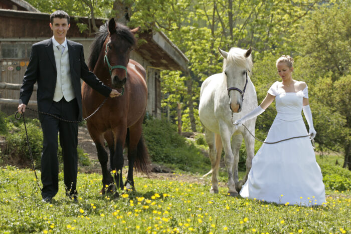 Mariage au haras du vercors avec nos chevaux