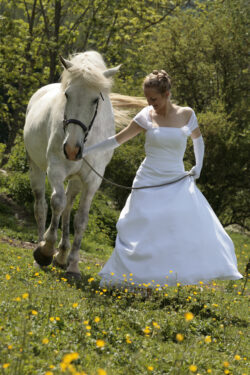 un mariage exceptionnelle au Haras du vercors