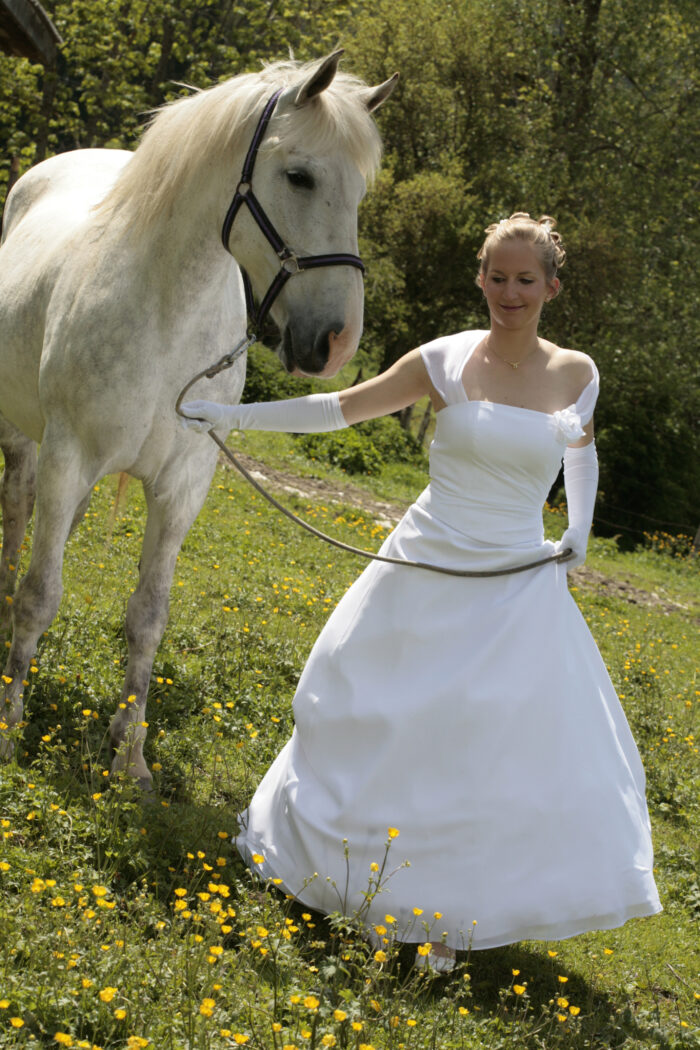une marié avec les chevaux au haras du vercors
