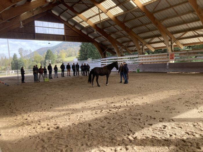 Équicoaching dans le manège du Haras du Vercors