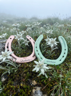 Fer à cheval porte-bonheur personnalisé — prénoms personnalisés